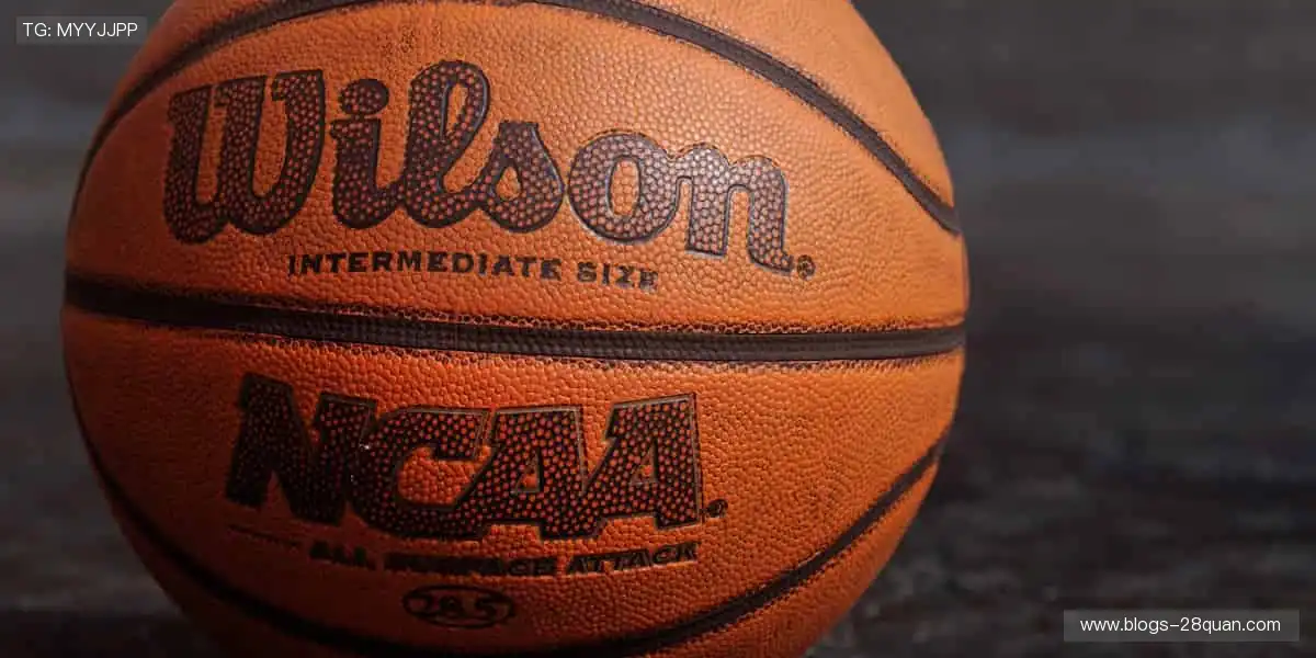 🚴 速度激情,赛道争锋!🏆