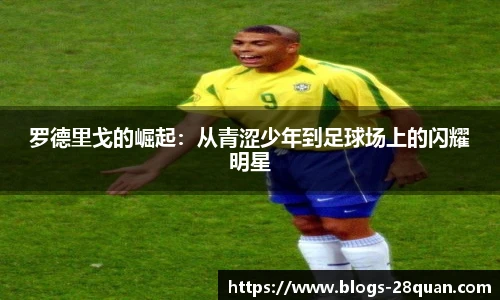 28圈游戏