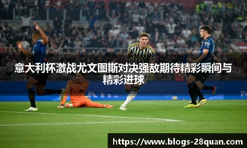 28圈娱乐